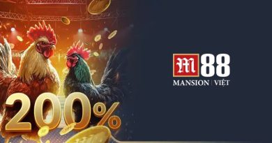 ĐÁ GÀ - TƯ ĐỜI THỰC ĐẾN CƯỢC TRỰC TUYẾN TẠI M88